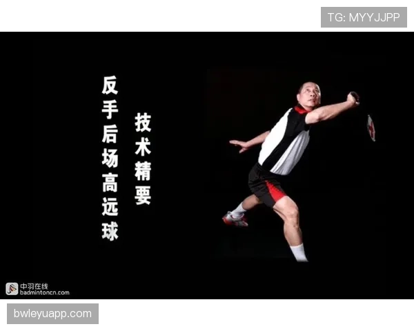 后场规则是什么?全面解析后场违例与判罚标准 后场规则是什么?全面解析后场违例与判罚标准